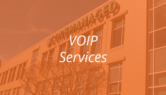 VOIP Services