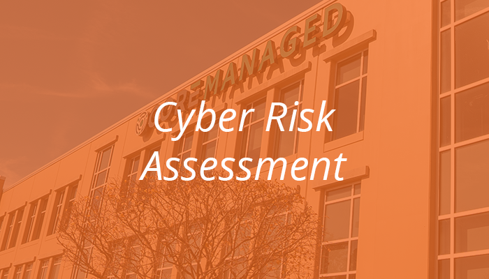 Cyber Risk Assessment