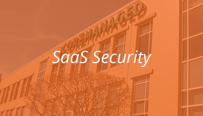 SaaS Security Services