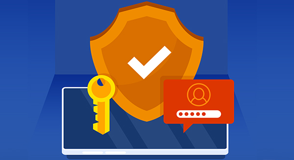 What You Need to Know about Web App Security