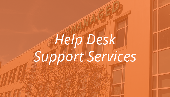 Help Desk Support Services